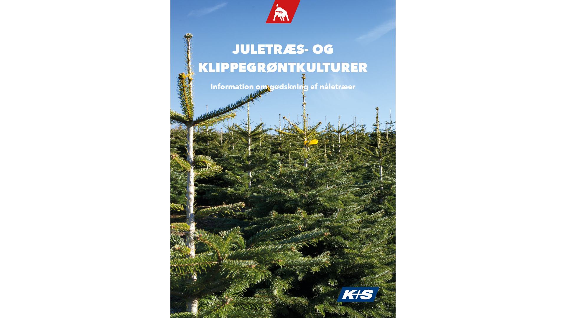 kplussagrar_Brochure-Teaser_Weihnachtsbaum_DIN-A4_DK_16-9