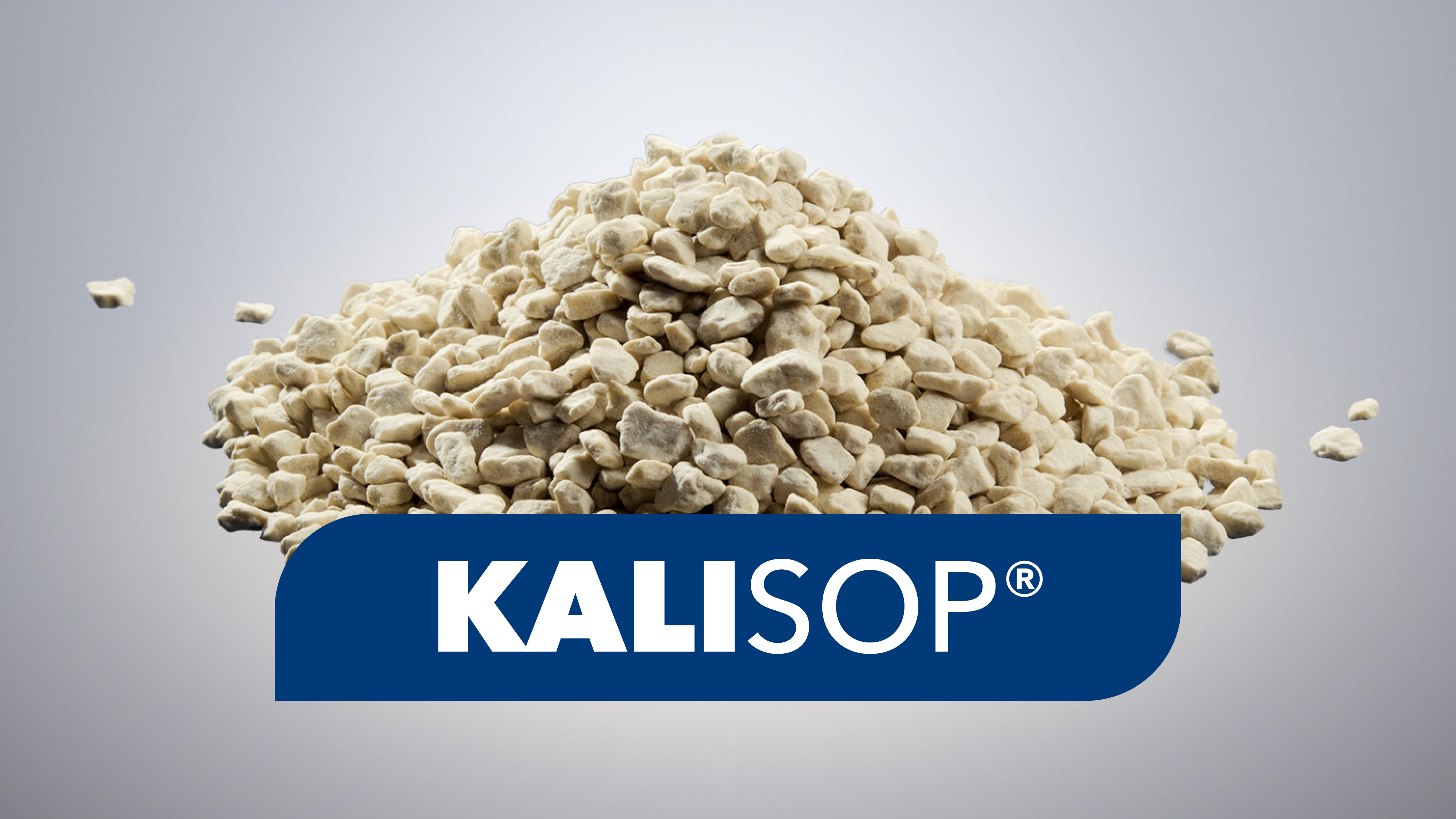 kpluss-c-light_KALISOP_4-3